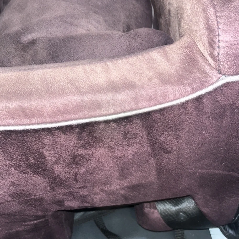 🚗 💺 🐶 • Paw 🐾 Car Ride Vibes 🐾• 🐶💺🚗